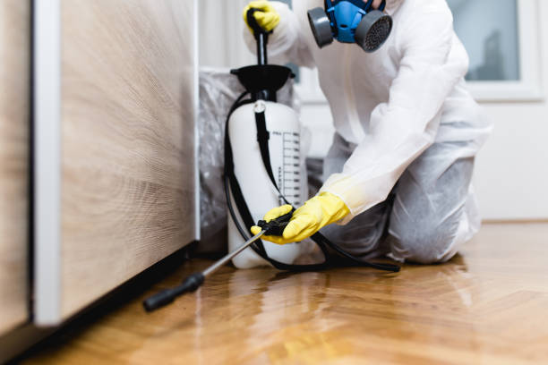 Best Local Pest Control Services  in Lakewood, NY