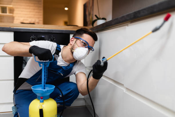 Best Pest Removal Services  in Lakewood, NY