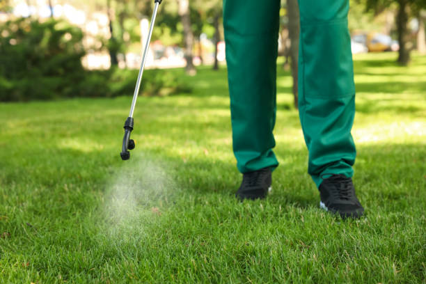 Reliable Lakewood, NY Pest Control Solutions