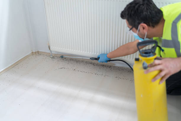 Best Bed Bug Extermination  in Lakewood, NY