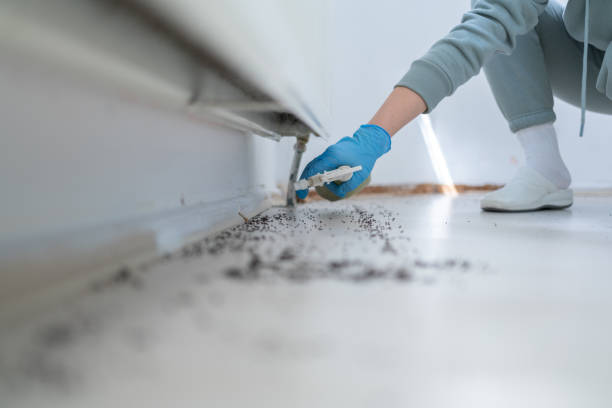 Best Pest Control for Businesses  in Lakewood, NY