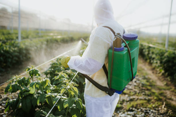 Wildlife Control Services in Lakewood, NY